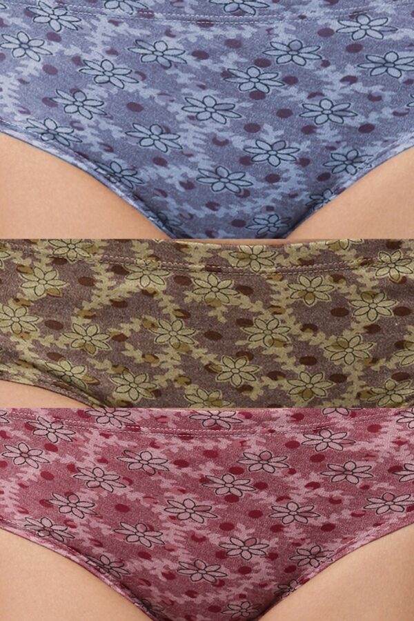 Hipster Panties for Women - Inner Elastic Panty - Pack of 3 (Random Colours & Prints)