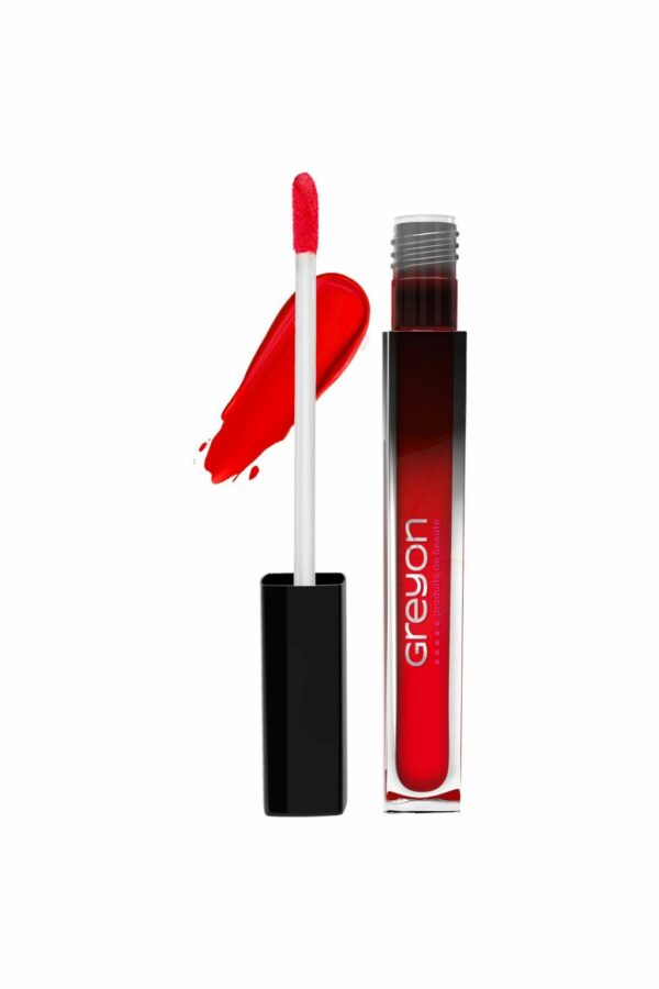 Greyon Regular Matte Liquid Lipstick Brick Red - Image 4