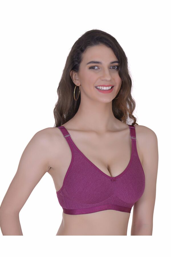 Mynte Purple/Grey/Teal Green Women's Smooth Superlift High Full Coverage Non- Padded Wire Free Cotton Regular Bra (Pack of 3) - Image 2