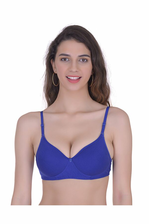 Mynte Blue/Beige/Black Women's Cotton Rich Lightly Padded Non-Wired Full Cup Regular Bra (Pack of 3) - Image 2