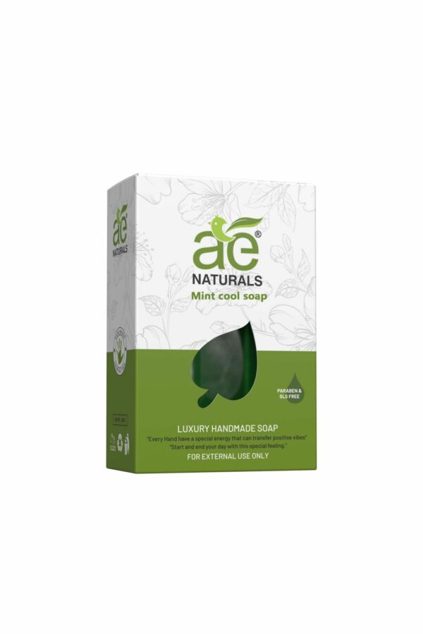 AE Naturals Handmade Mint Cool Soap With Glycerine Paraban Free 100g Pack of 3